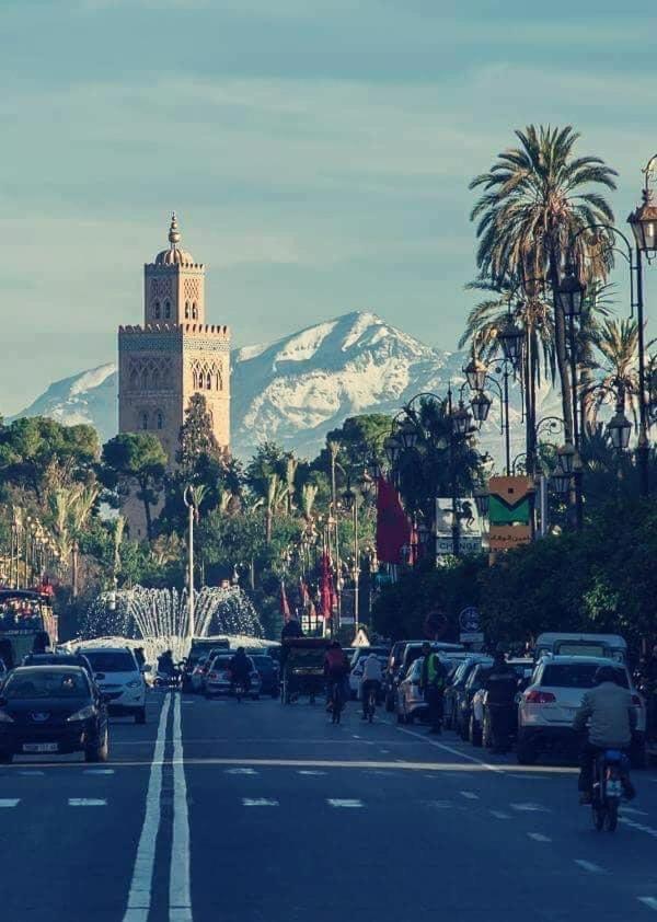 Authentic Moroccan Charm Apartment In Marrakech Terrace Marrakesh Bagian luar foto