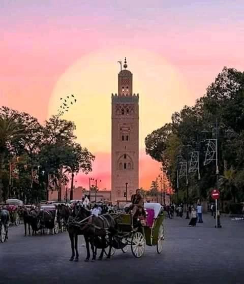 Authentic Moroccan Charm Apartment In Marrakech Terrace Marrakesh Bagian luar foto