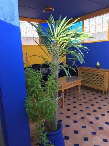 Authentic Moroccan Charm Apartment In Marrakech Terrace Marrakesh Bagian luar foto